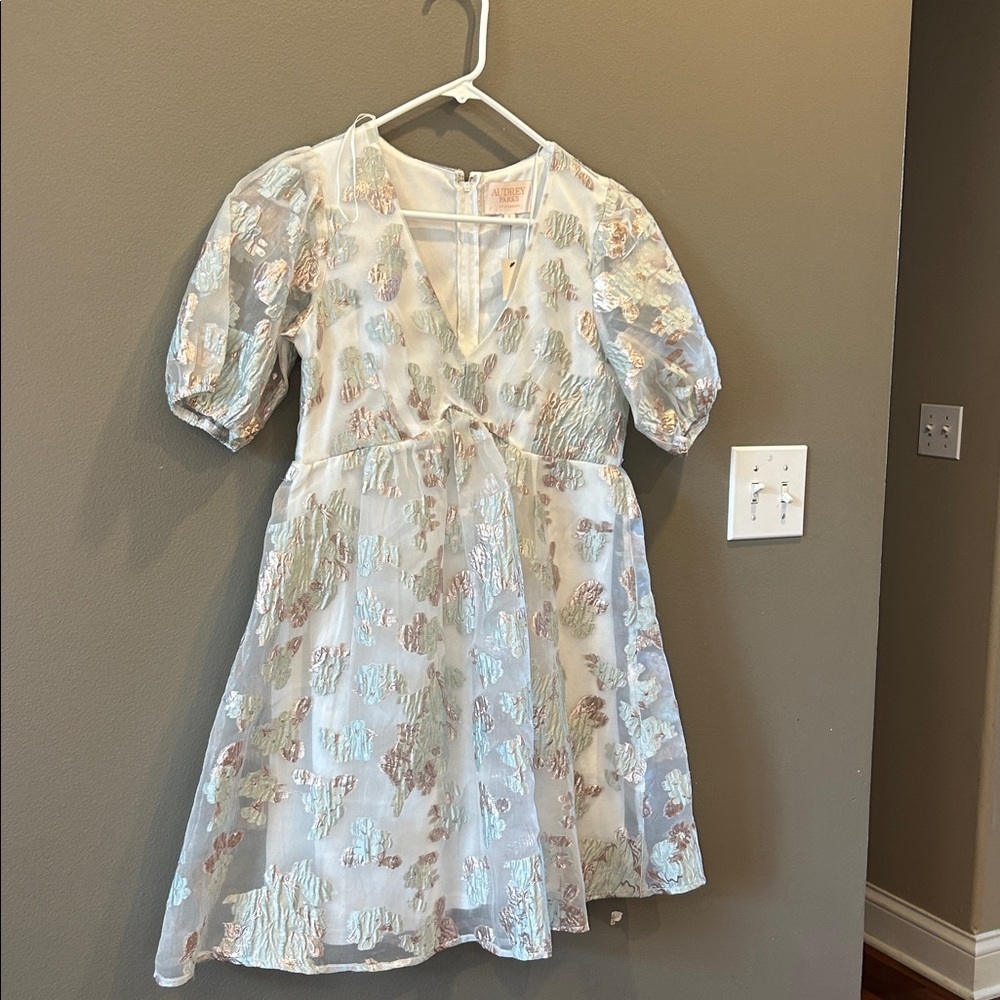 Audrey Parks Francesca’s Puffy Sleeve Dress NWT small